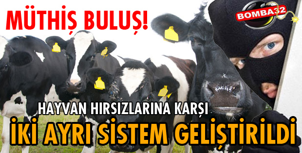 YAYILAN HAYVANLAR İÇİN GPRS'Lİ YÖNTEM