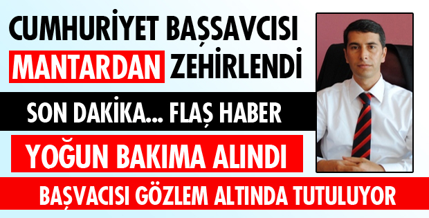 YEDİĞİ MANTARDAN ZEHİRLENDİ