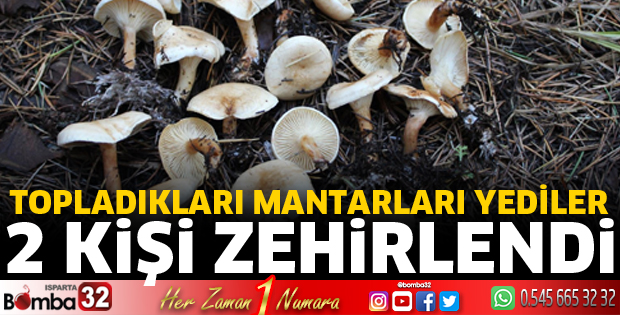 Yedikleri mantardan zehirlendiler