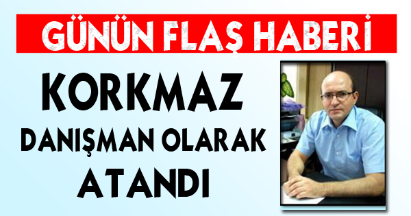 YENİ GÖREV DANIŞMANLIK
