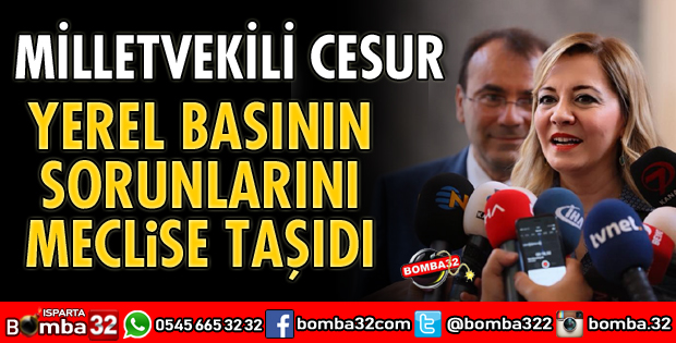 YEREL BASININ SORUNLARINI MECLİSE TAŞIDI