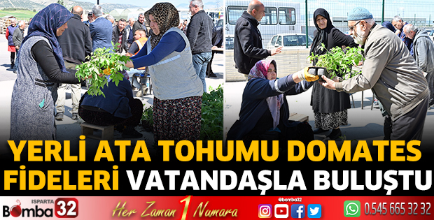 Yerli ata tohumu domates fideleri vatandaşla buluştu