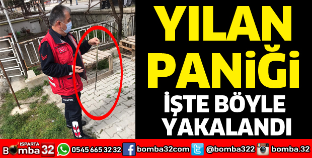 Yılan operasyonu