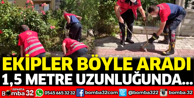 Yılan operasyonu