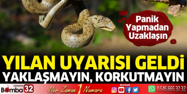 Yılan uyarısı geldi