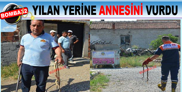 YILAN YERİNE ANNESİNİ VURDU