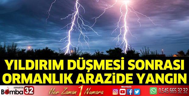 Yıldırım düşmesi sonrası ormanlık arazide yangın