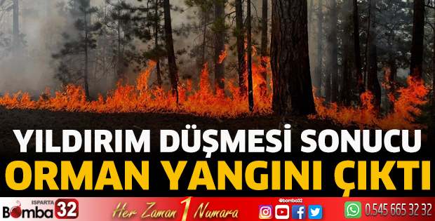 Yıldırım düşmesi sonucu orman yangını çıktı