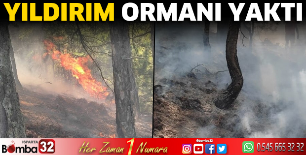 Yıldırım ormanı yaktı 