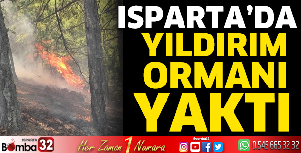 Yıldırım ormanı yaktı 