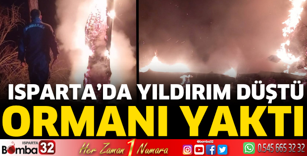 Yıldırım ormanı yaktı 