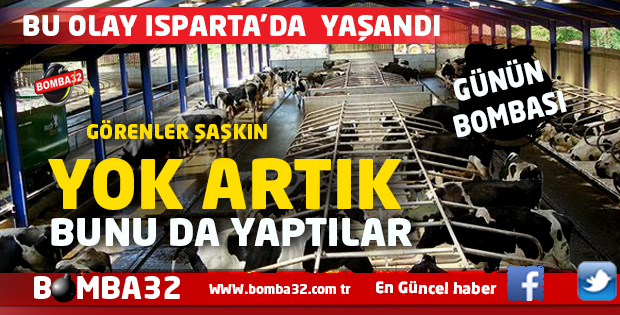 YOK ARTIK BUNU DA YAPTILAR !