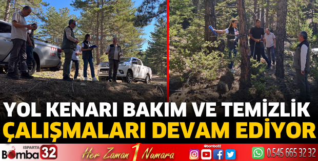 Yol kenarı bakım ve temizlik çalışmaları devam ediyor