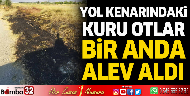 Yol kenarındaki kuru otlar bir anda alev aldı
