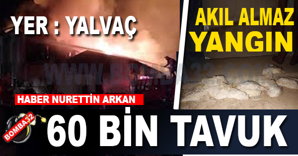 Yumurta Çiftliği Yandı, 60 Bin Tavuk Telef Oldu