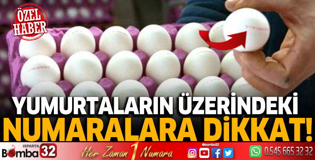 Yumurtaların üzerindeki numaralara dikkat!