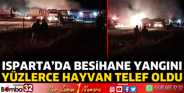 Isparta'da besihane yangını 