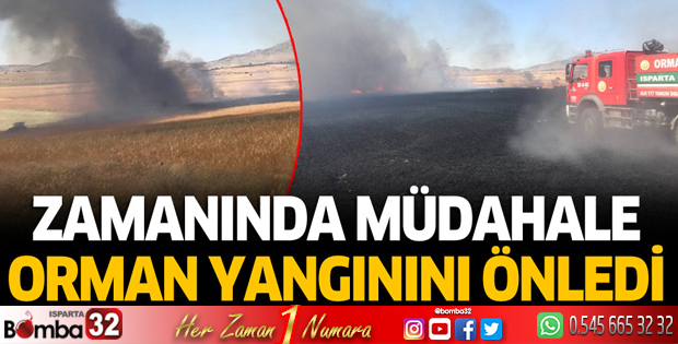 Zamanında müdahale orman yangınını önledi