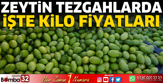 Zeytin tezgahlarda yerini aldı