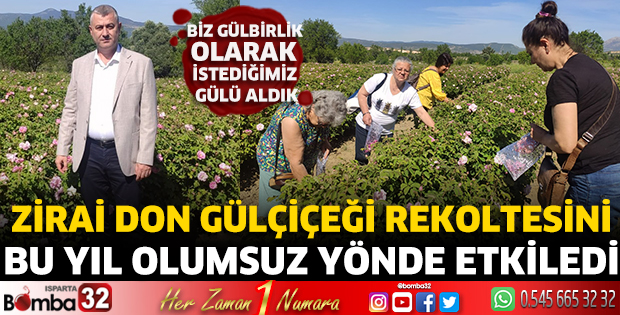 Zirai don gülçiçeği rekoltesini bu yıl olumsuz yönde etkiledi  