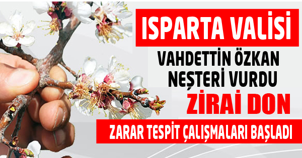 Zirai Don Zarar Tespit Çalışmaları başlandı